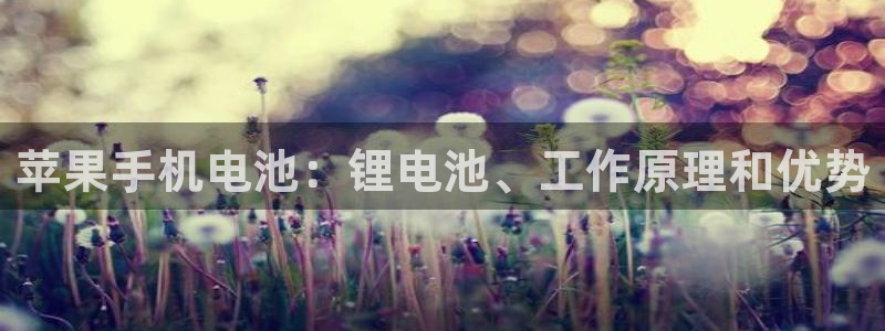 凯时kb88官网网址