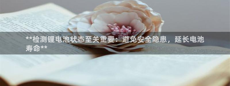尊龙凯时人生就是搏技术实力