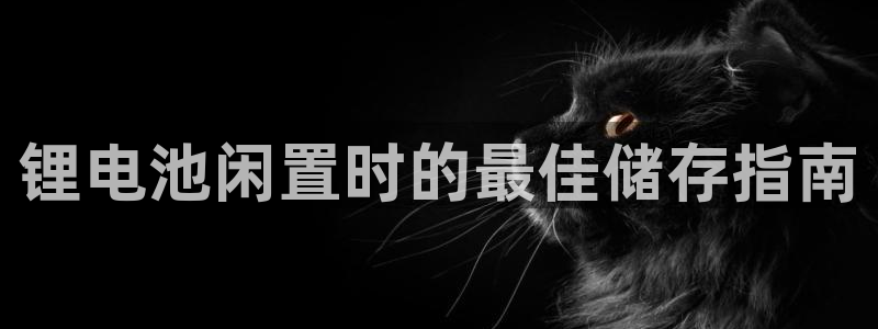 尊龙凯时有没有出不了款的情况