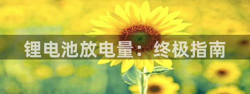 尊龙凯时网站怎么样