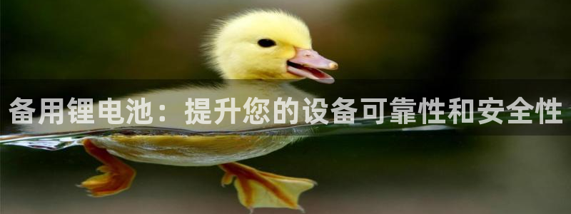 尊龙凯时代理能提出来不
