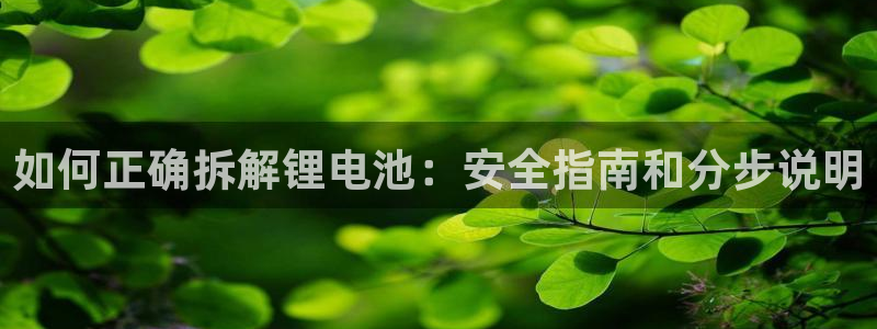 凯时kb88·中国官方网站