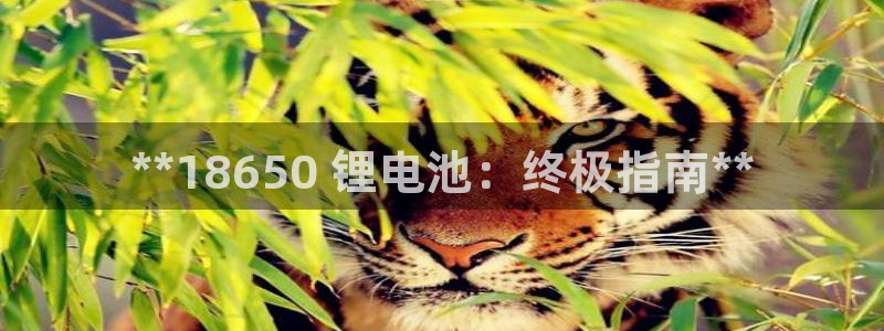 尊龙凯时有没有出不了款的情况