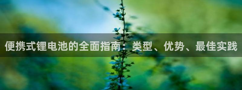 尊龙人生就是一博!