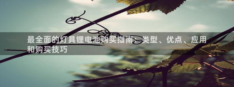 尊龙游戏官网
