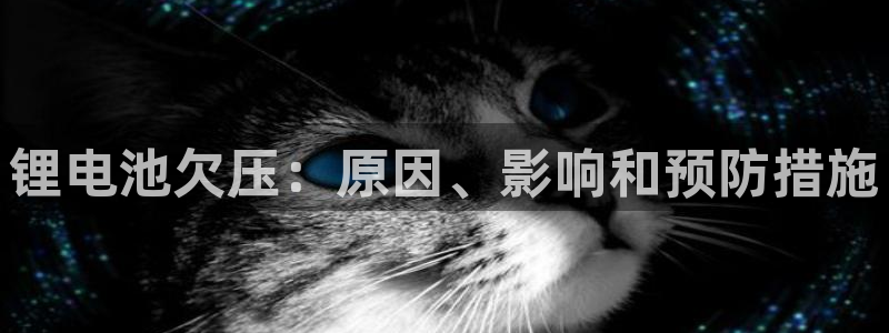 尊龙凯时能不能提现?