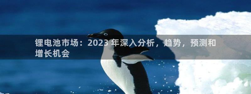 凯时网址多少