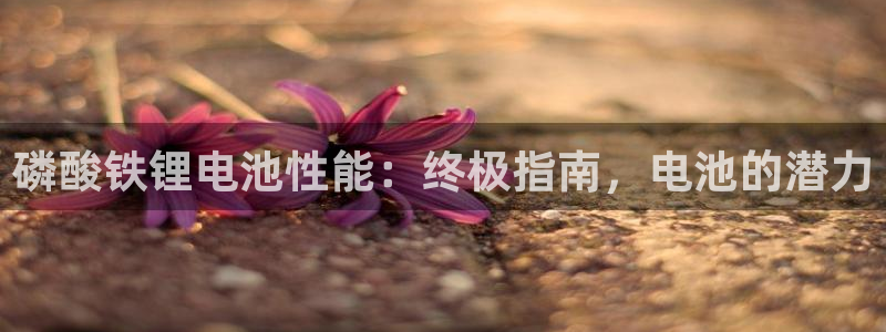 尊龙官网在哪里