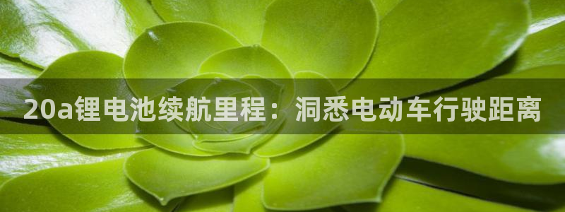 尊龙凯时城游戏官网