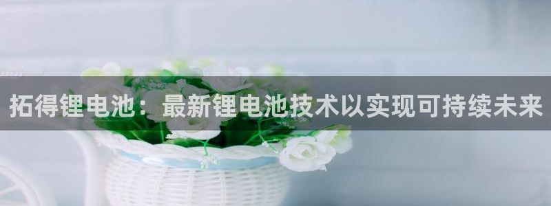 尊龙电子