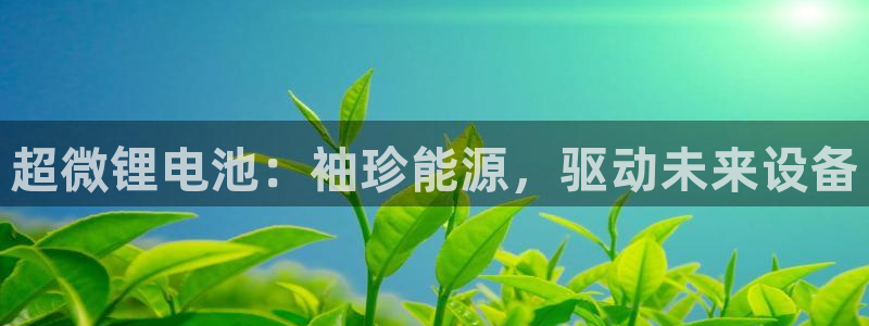 尊龙t300和t400哪个好