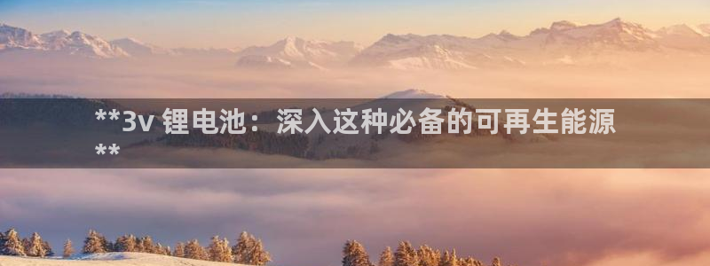 尊龙凯时处理未到账