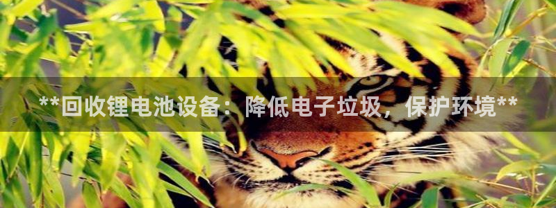 尊龙人生就是博登陆