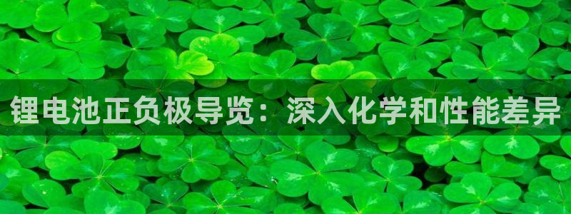 尊龙ag旗舰厅手机版