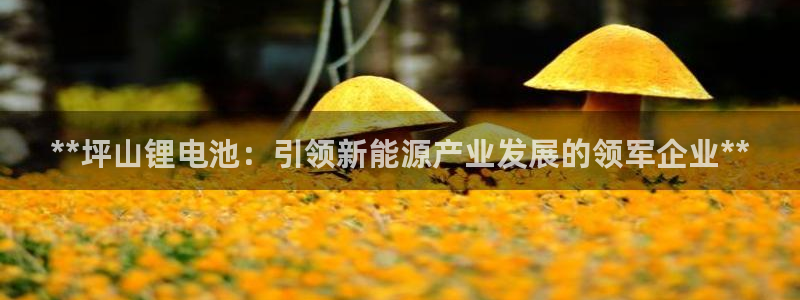 尊龙凯时logo
