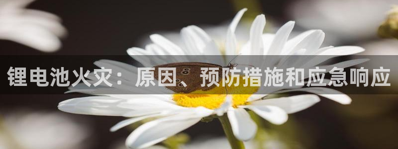 尊龙旗舰厅app