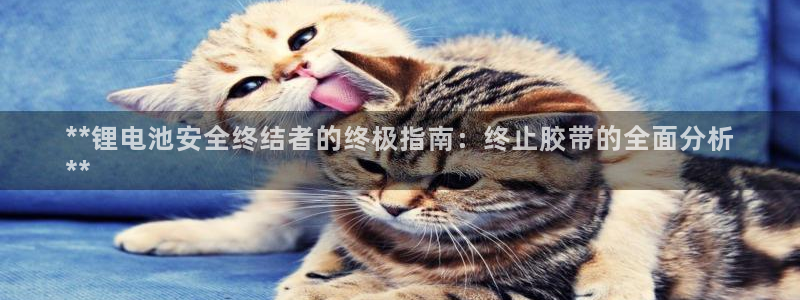尊龙d88官网新版