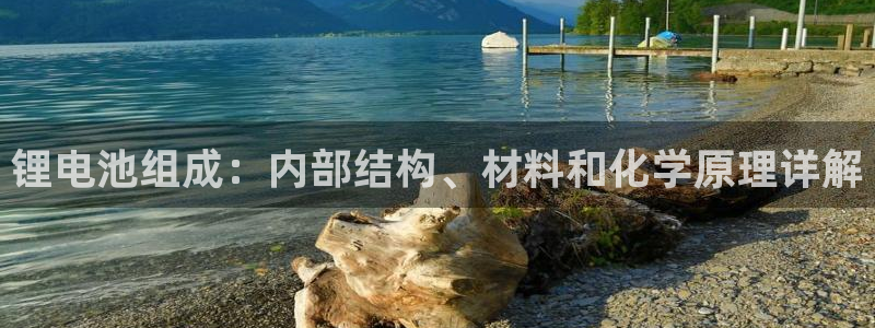 尊龙凯时网站网址