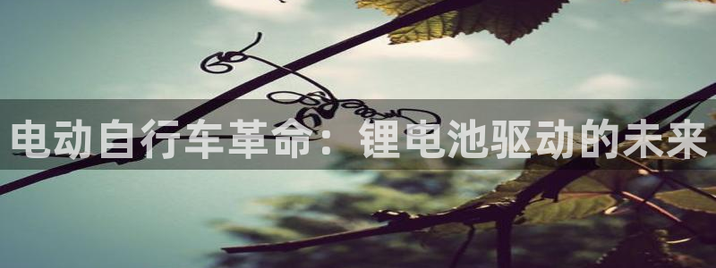 尊龙凯时为什么输了钱