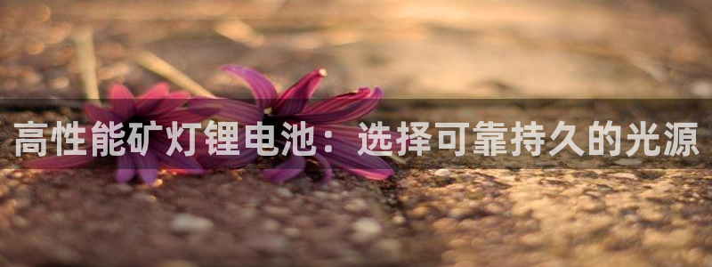 尊龙用现金一下可靠送38元