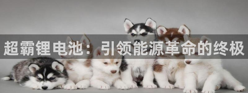 尊龙手机客户端下载APP