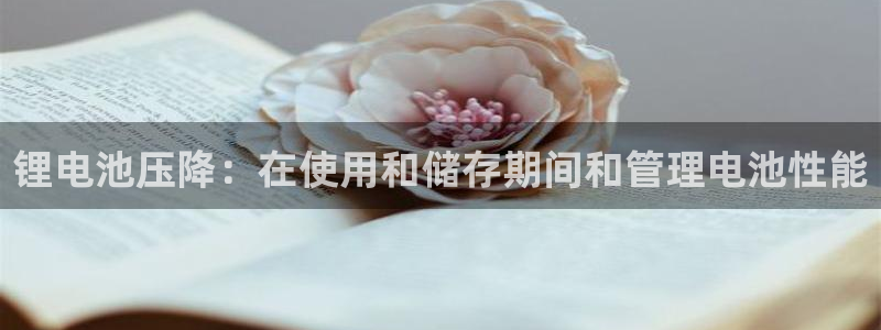 尊龙新版App下载