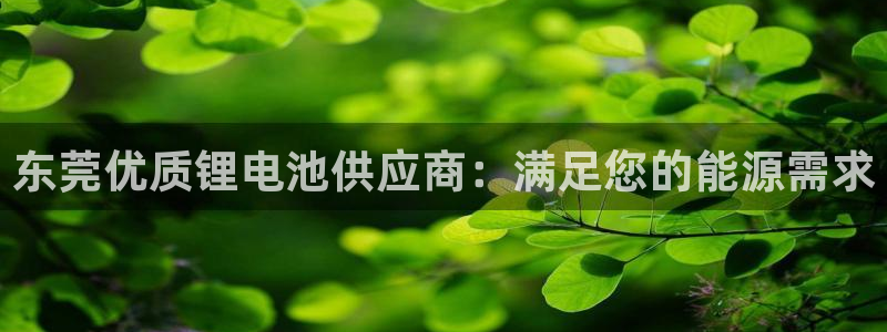 尊龙凯时干什么的