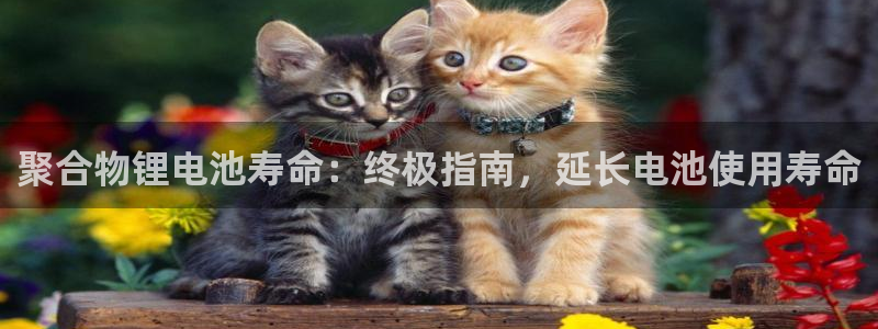 尊龙凯时有假么：聚合物锂电池寿命：终极指南，延长电池使用寿命
