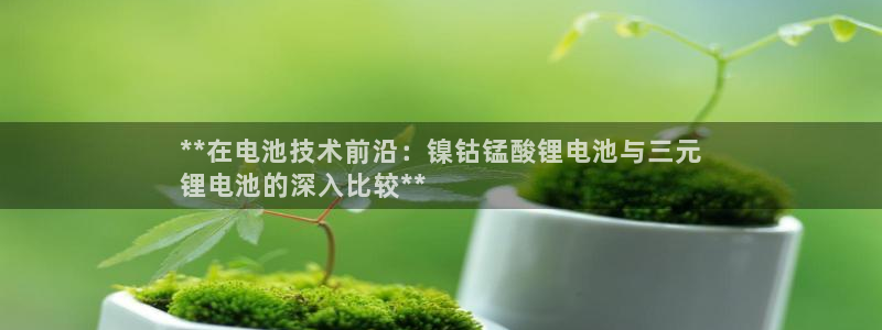 尊龙d88ag官方网站