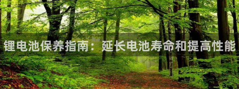尊龙凯时网站网址