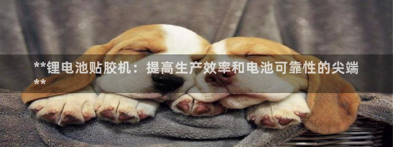 凯时国际app首页下载：**锂电池贴胶机：提高生产效率和电池可靠性的尖端
**