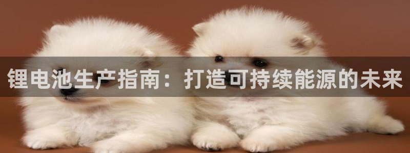 尊龙凯时网站怎么样