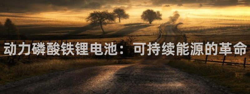 尊龙d88官网选RA来就送38：动力磷酸铁锂电池：可持续能源的革命
