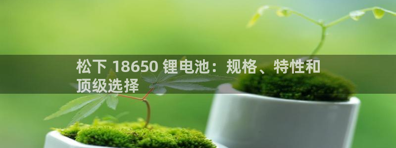 尊龙凯时官方网站下载