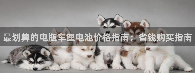 尊龙凯时官网网址