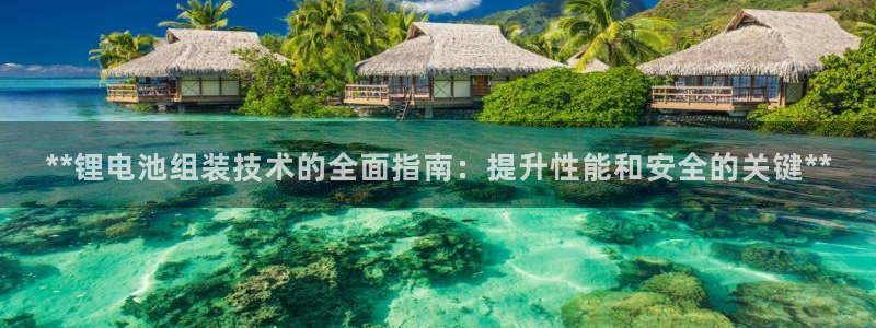 尊龙官网免费下载：**锂电池组装技术的全面指南：提升性能和安全的关键**