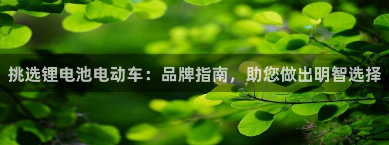 尊龙凯时网：挑选锂电池电动车：品牌指南，助您做出明智选择