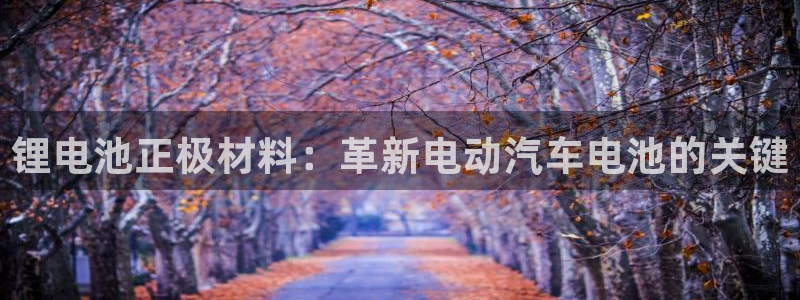 z6尊龙官网