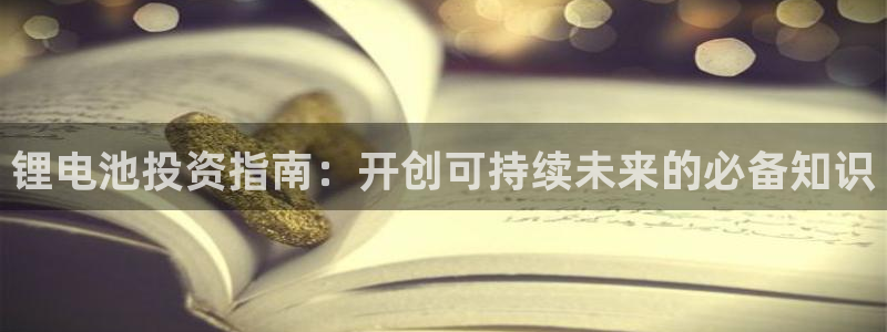 尊龙娱官网赢来就送38：锂电池投资指南：开创可持续未来的必备知识