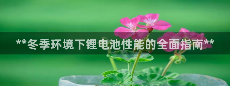 尊龙凯时一人生就是博登入