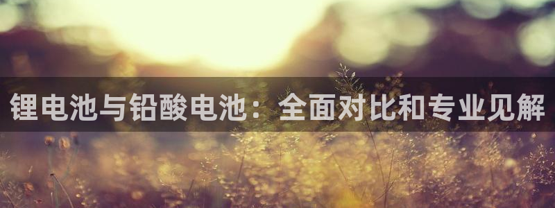 凯时游戏官方网站
