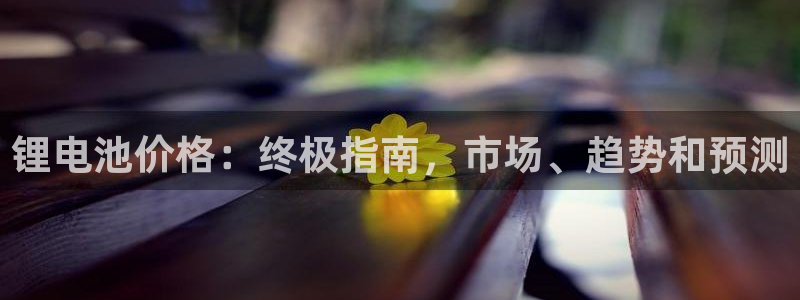 尊龙凯时人生就是博游戏网站：锂电池价格：终极指南，市场、趋势和预测