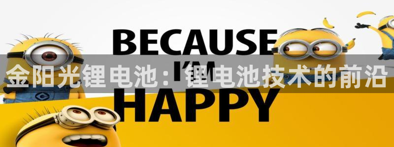 ZL尊龙凯时集团：金阳光锂电池：锂电池技术的前沿
