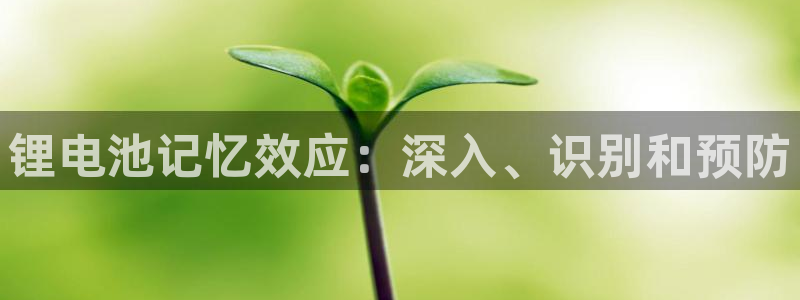 凯时国际app首页