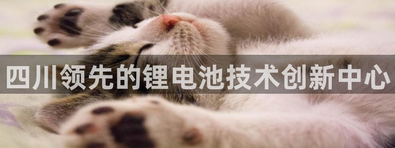 尊龙凯时 人生就是搏客服
