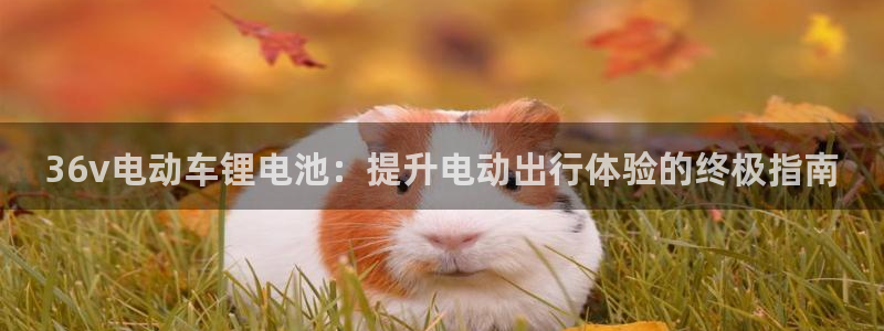 尊龙凯时城娱乐