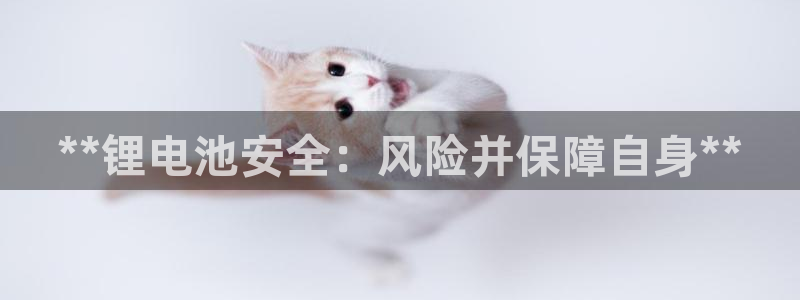 尊龙app怎么样