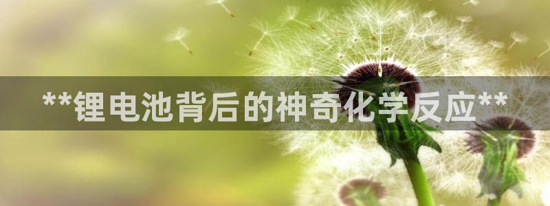 凯时a88