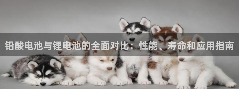 尊龙实业有限公司是正规还是仿