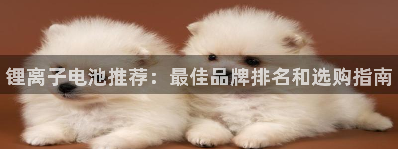 尊龙凯时 - 人生就是搏!提款怎么样：锂离子电池推荐：最佳品牌排名和选购指南